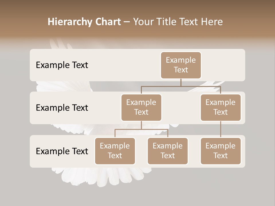 Hope High Flying PowerPoint Template