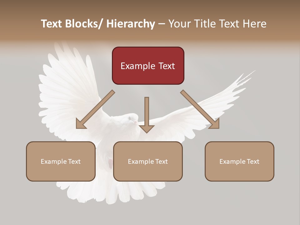 Hope High Flying PowerPoint Template