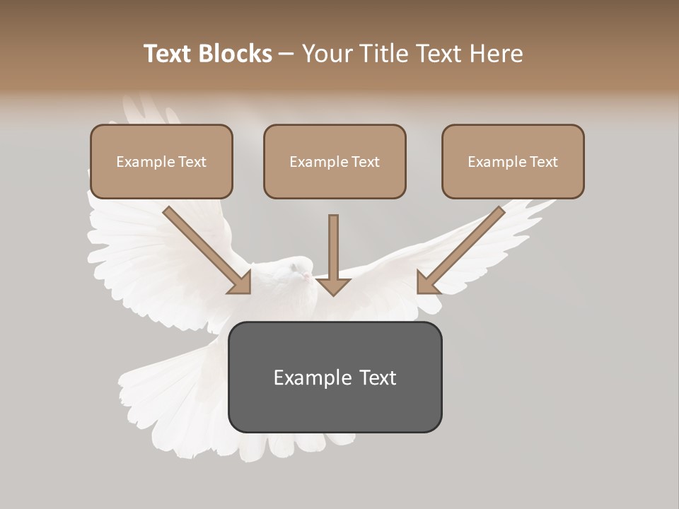 Hope High Flying PowerPoint Template