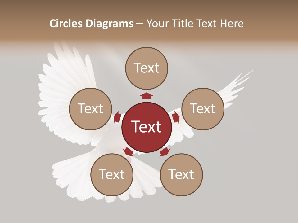 Hope High Flying PowerPoint Template