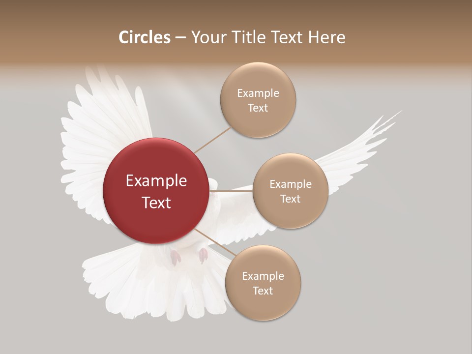 Hope High Flying PowerPoint Template