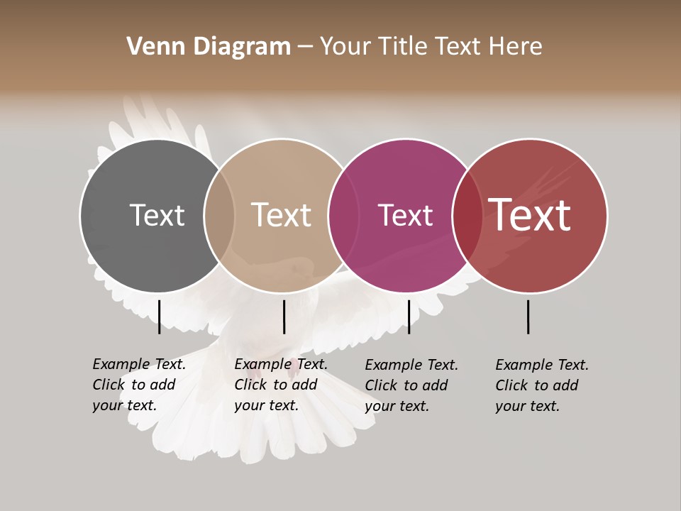 Hope High Flying PowerPoint Template