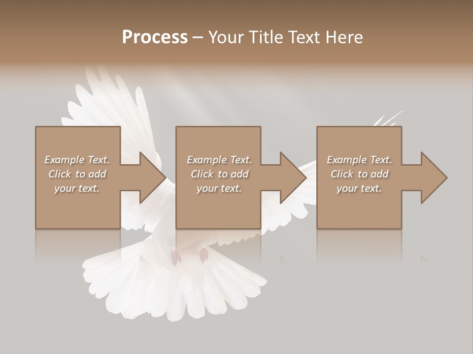 Hope High Flying PowerPoint Template