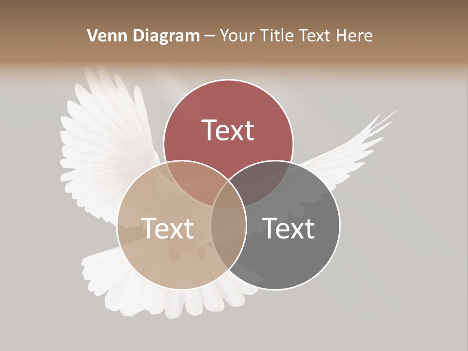 Hope High Flying PowerPoint Template