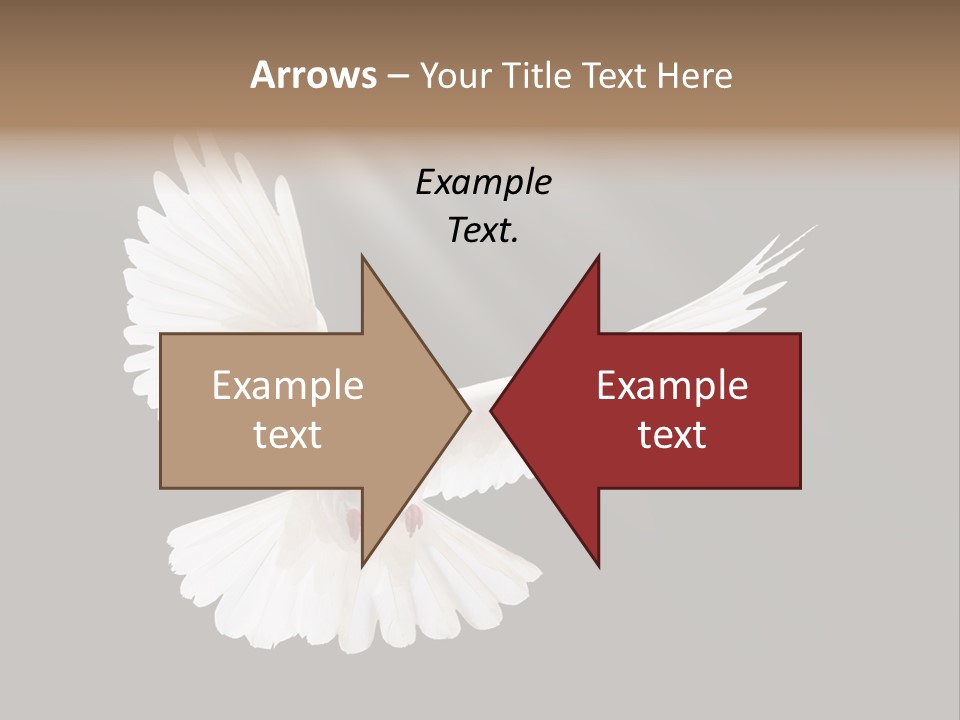 Hope High Flying PowerPoint Template