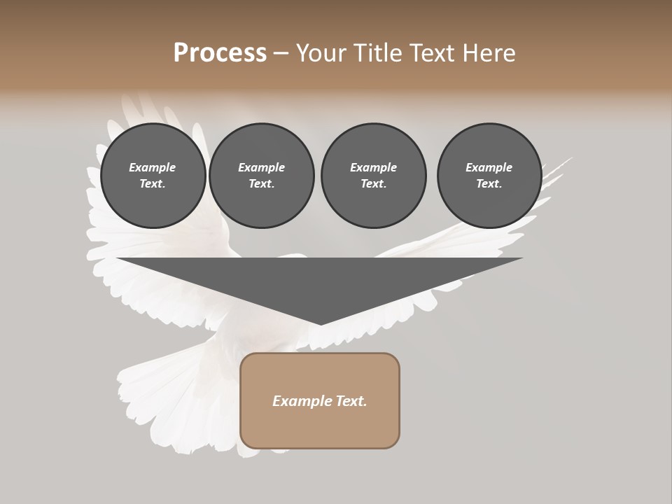 Hope High Flying PowerPoint Template
