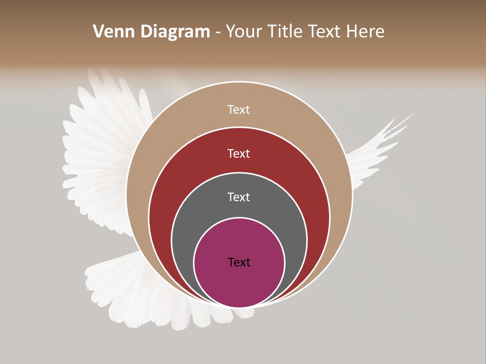 Hope High Flying PowerPoint Template