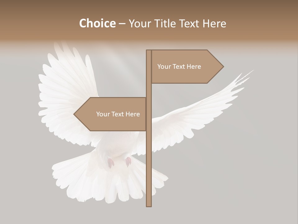 Hope High Flying PowerPoint Template