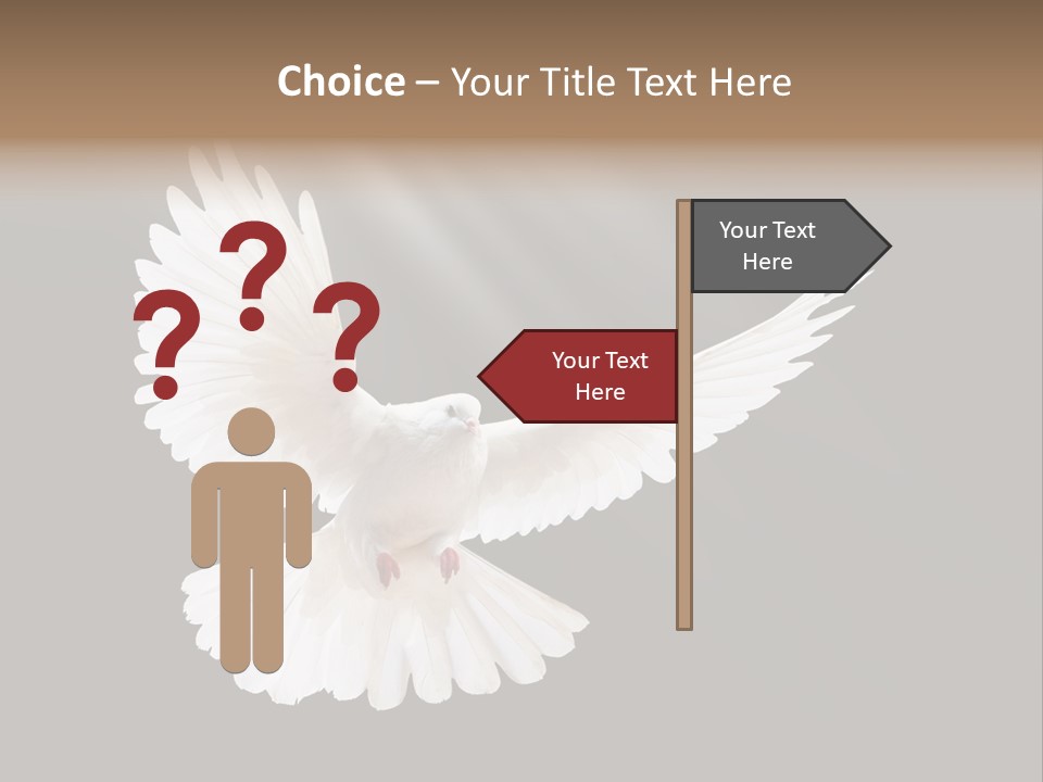 Hope High Flying PowerPoint Template