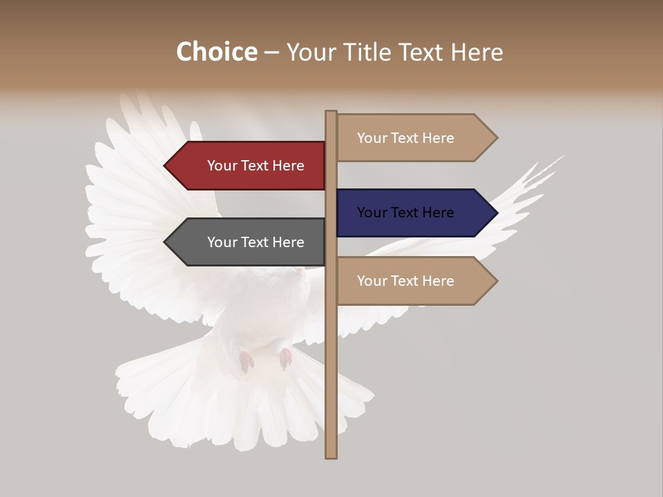 Hope High Flying PowerPoint Template