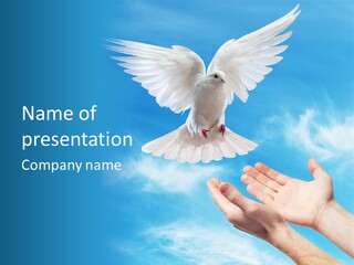 Air Dove Blue PowerPoint Template