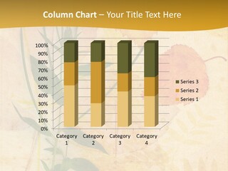 Dirt Light Detail PowerPoint Template