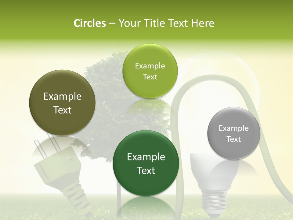 Blume Wald Natur PowerPoint Template