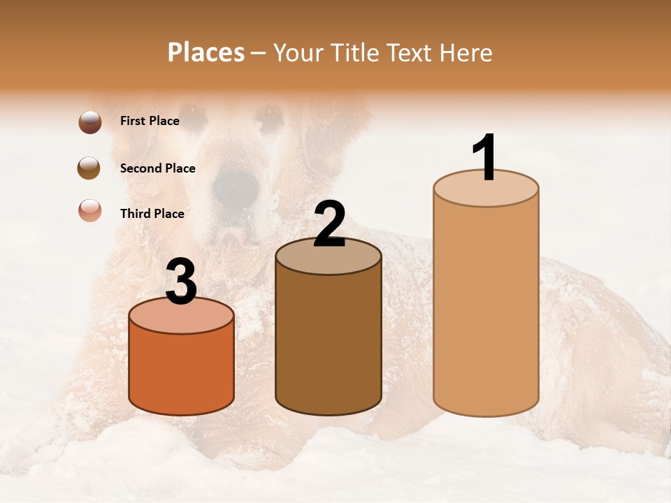 Cold Pet Happy PowerPoint Template