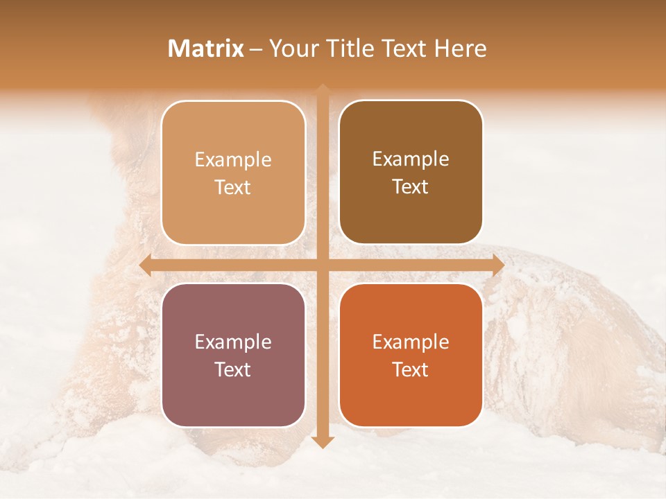 Cold Pet Happy PowerPoint Template