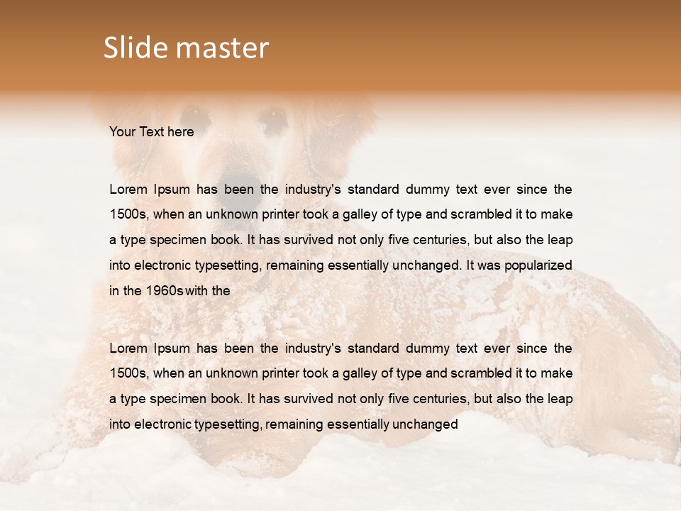Cold Pet Happy PowerPoint Template