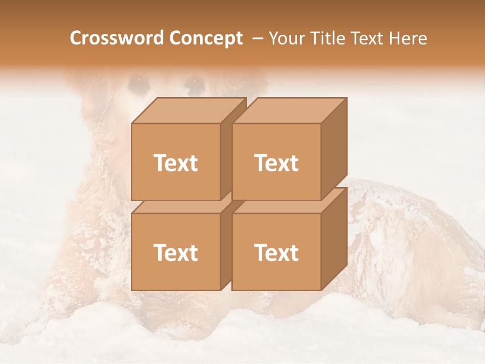 Cold Pet Happy PowerPoint Template