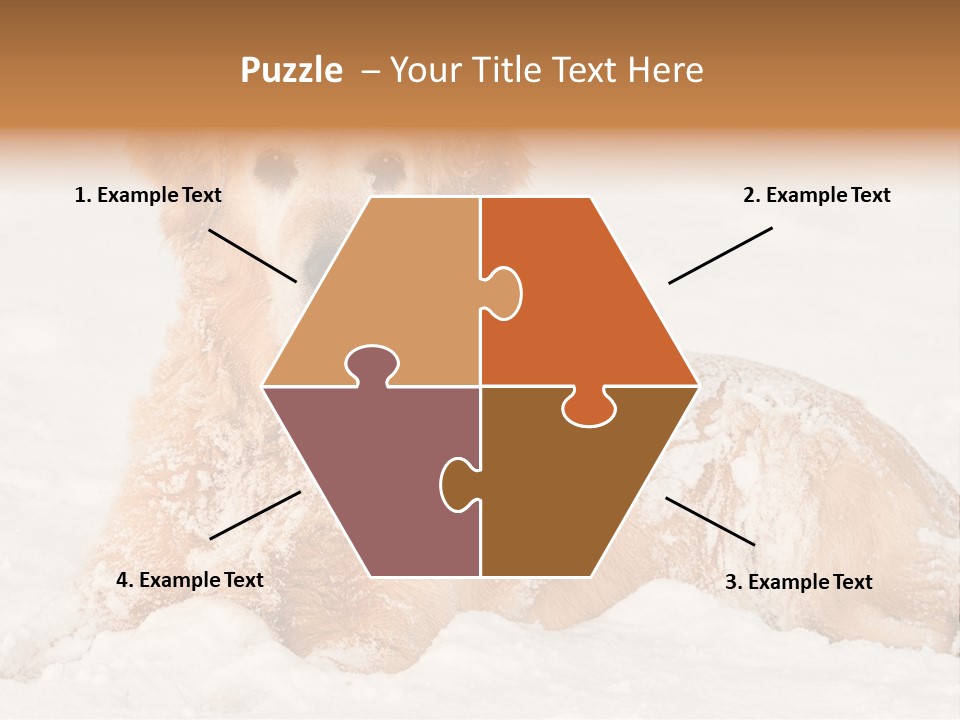 Cold Pet Happy PowerPoint Template