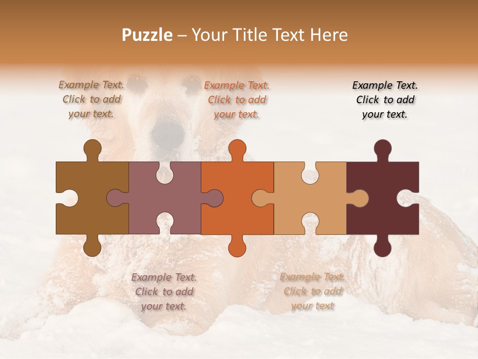 Cold Pet Happy PowerPoint Template