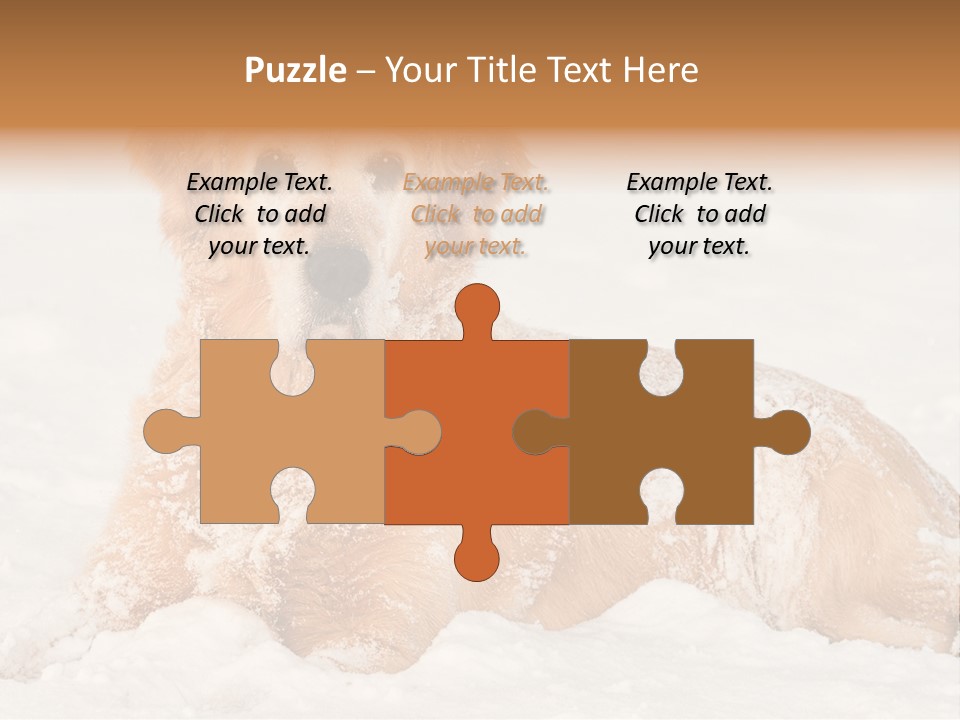 Cold Pet Happy PowerPoint Template