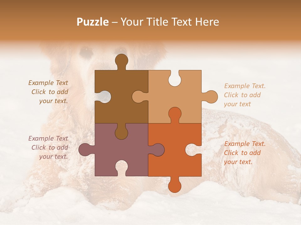 Cold Pet Happy PowerPoint Template