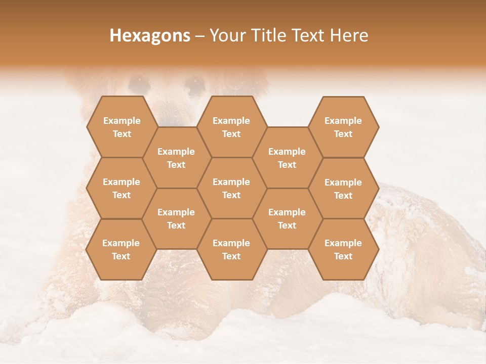 Cold Pet Happy PowerPoint Template