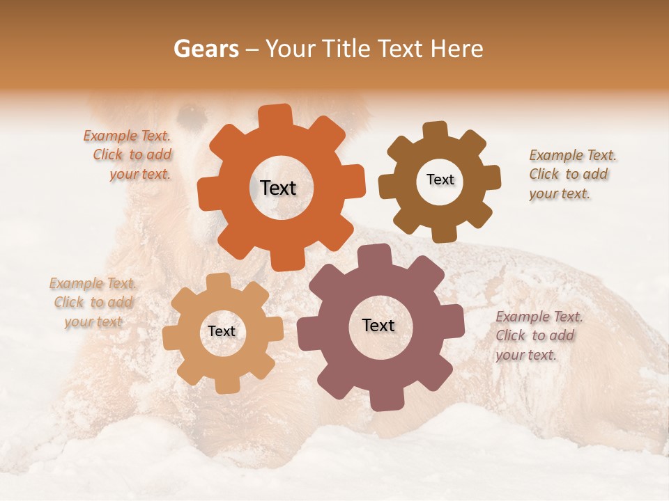 Cold Pet Happy PowerPoint Template