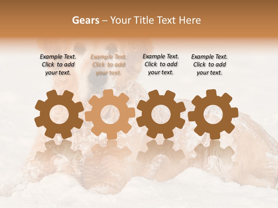 Cold Pet Happy PowerPoint Template