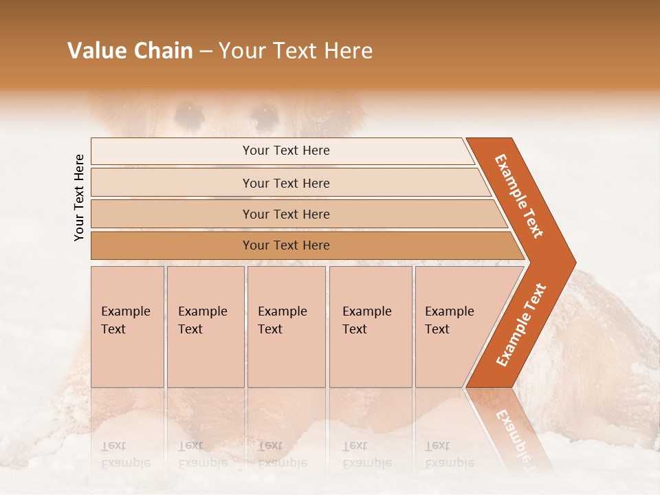 Cold Pet Happy PowerPoint Template