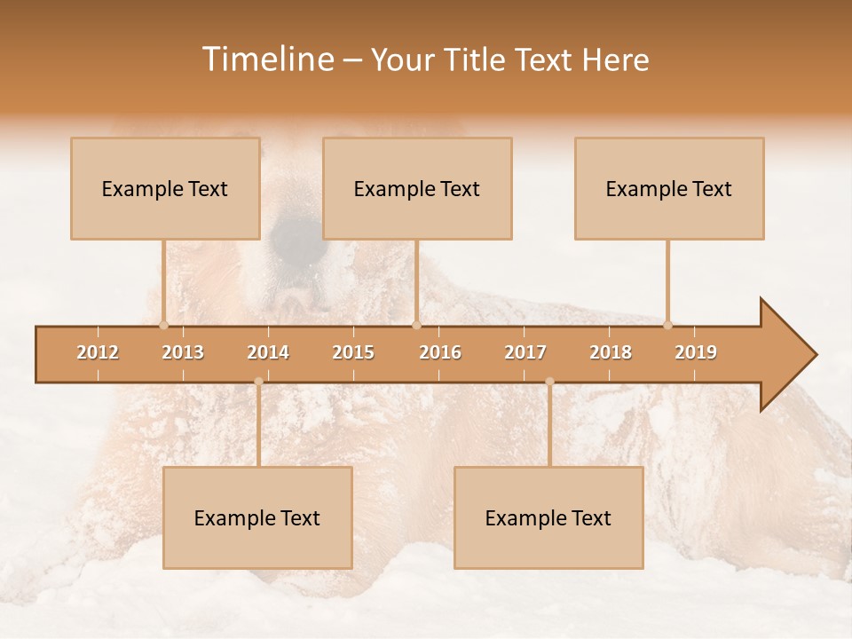 Cold Pet Happy PowerPoint Template