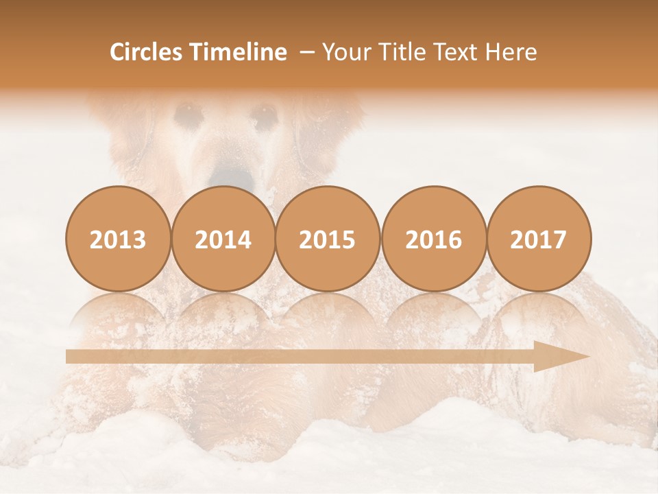 Cold Pet Happy PowerPoint Template