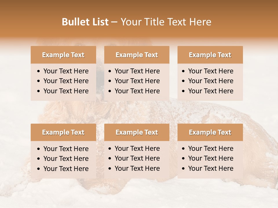 Cold Pet Happy PowerPoint Template