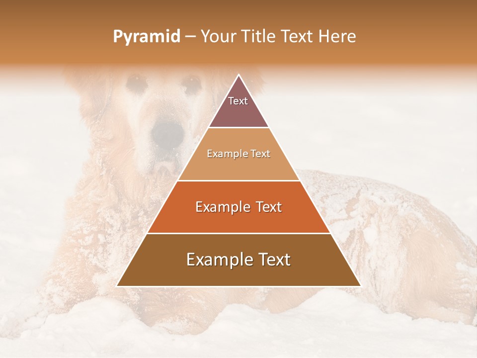 Cold Pet Happy PowerPoint Template