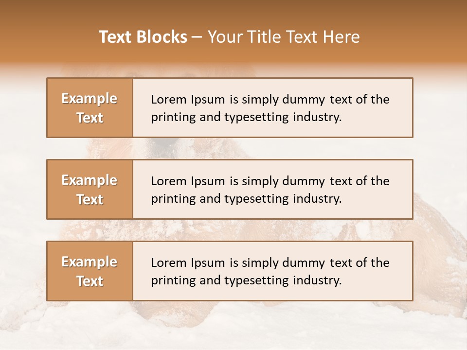 Cold Pet Happy PowerPoint Template