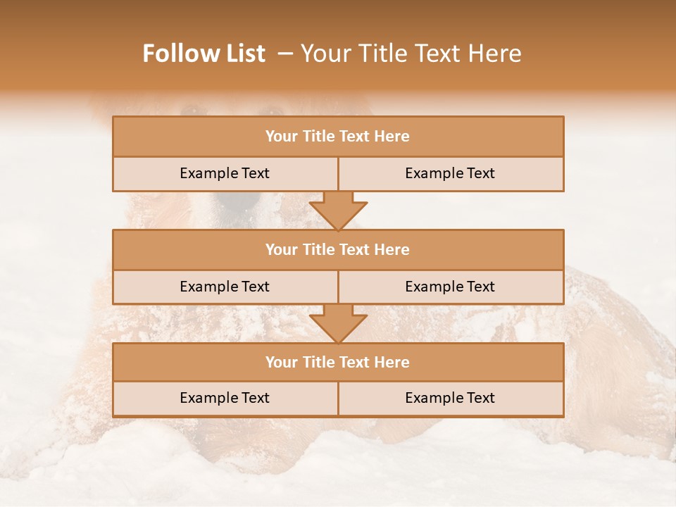 Cold Pet Happy PowerPoint Template