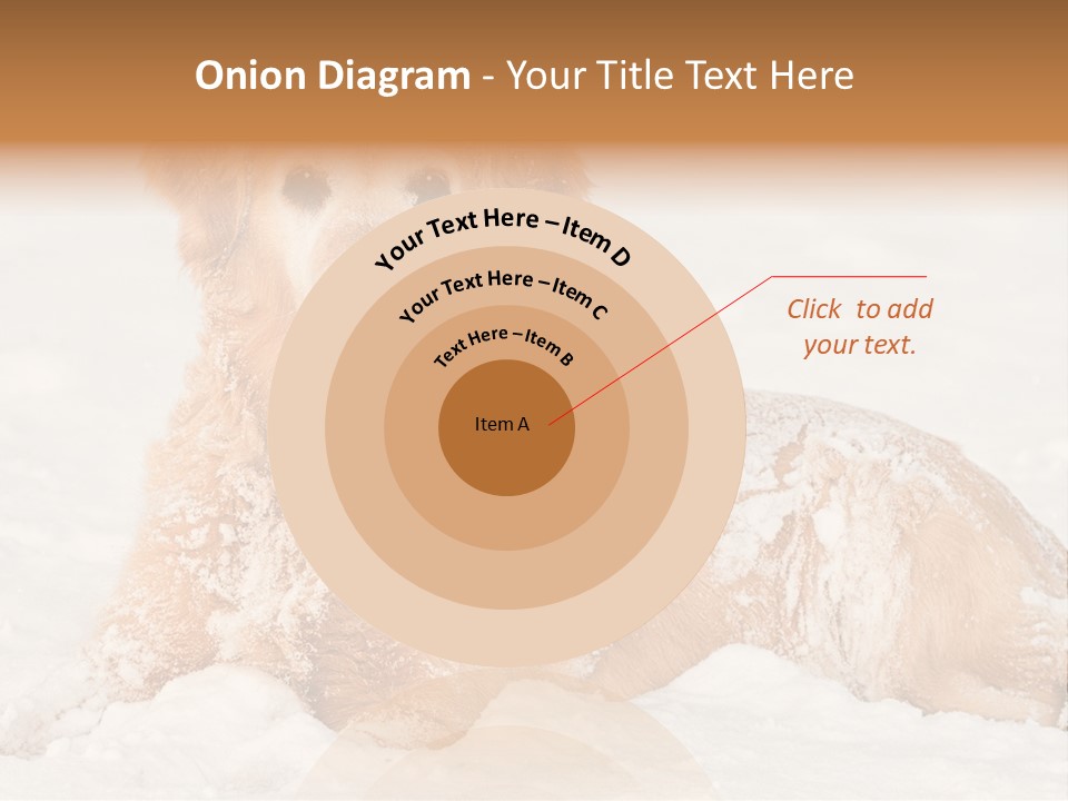 Cold Pet Happy PowerPoint Template