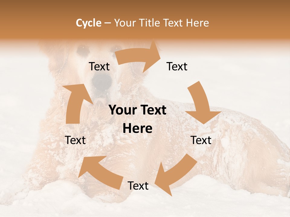 Cold Pet Happy PowerPoint Template