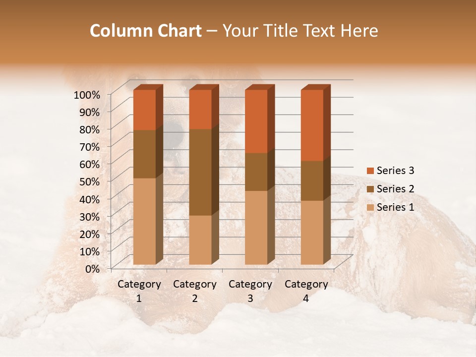 Cold Pet Happy PowerPoint Template