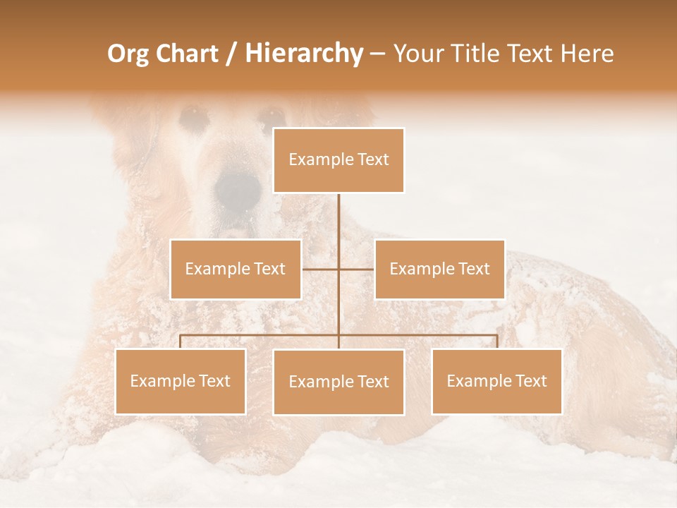 Cold Pet Happy PowerPoint Template