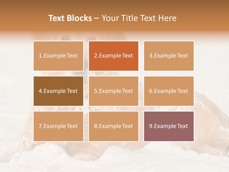 Cold Pet Happy PowerPoint Template