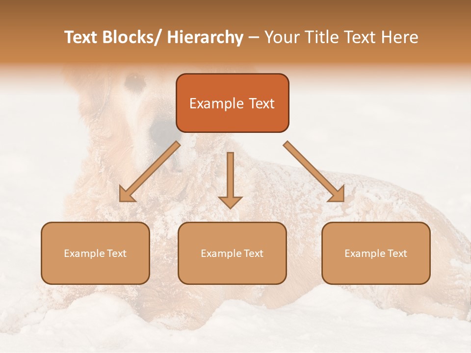 Cold Pet Happy PowerPoint Template