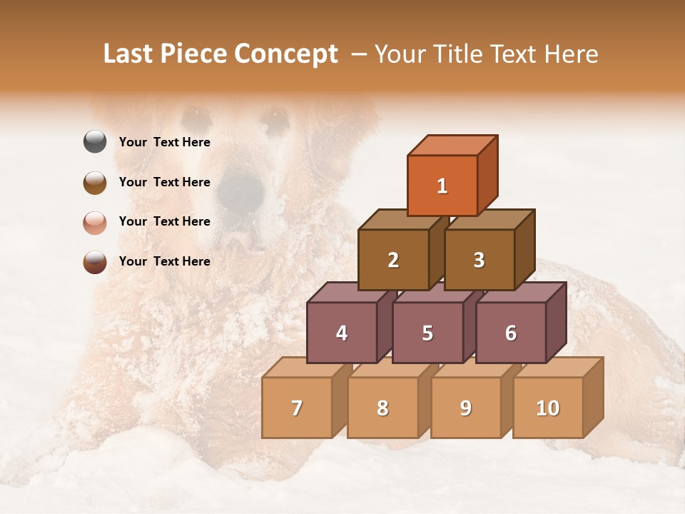 Cold Pet Happy PowerPoint Template