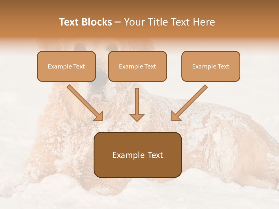 Cold Pet Happy PowerPoint Template
