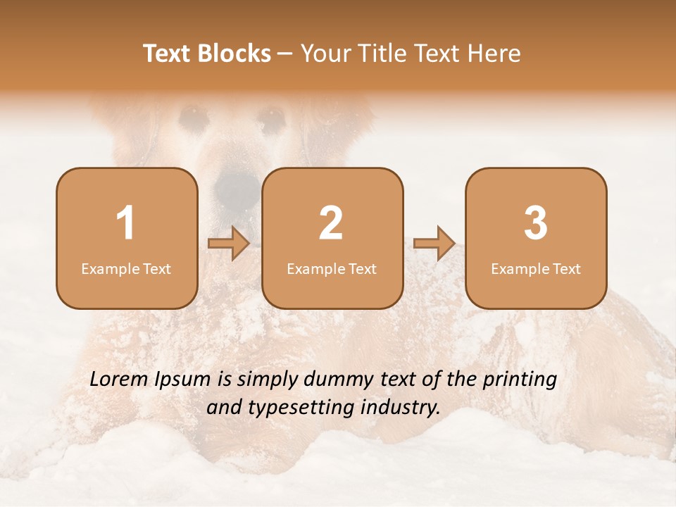 Cold Pet Happy PowerPoint Template