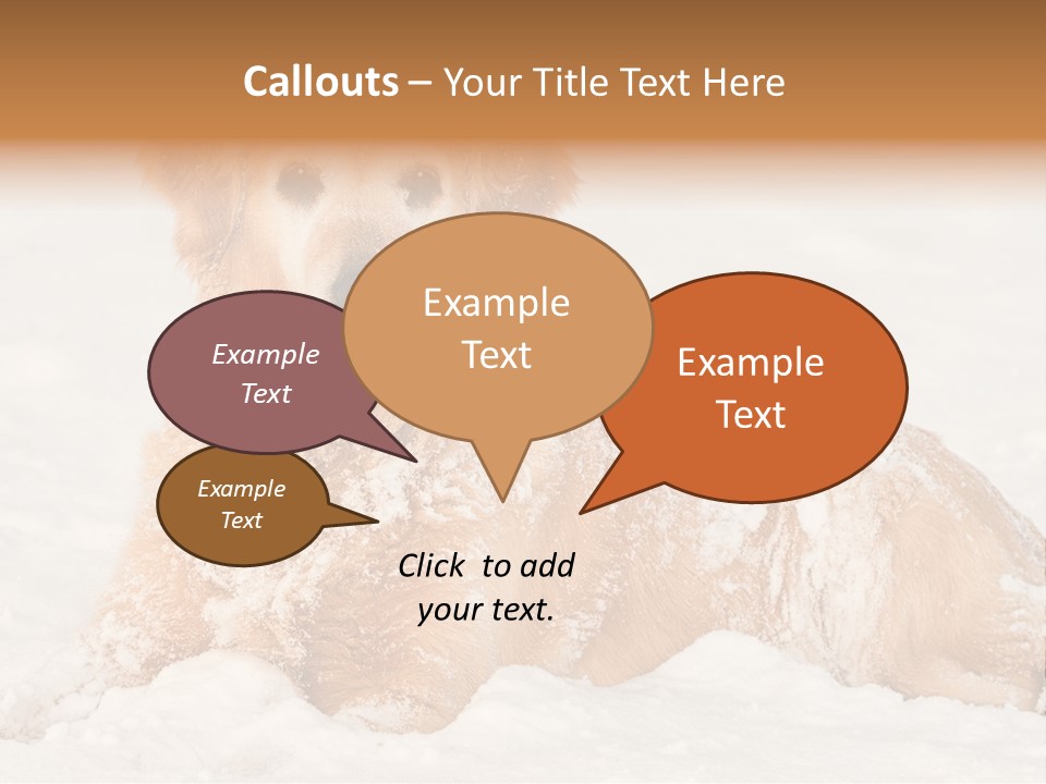 Cold Pet Happy PowerPoint Template