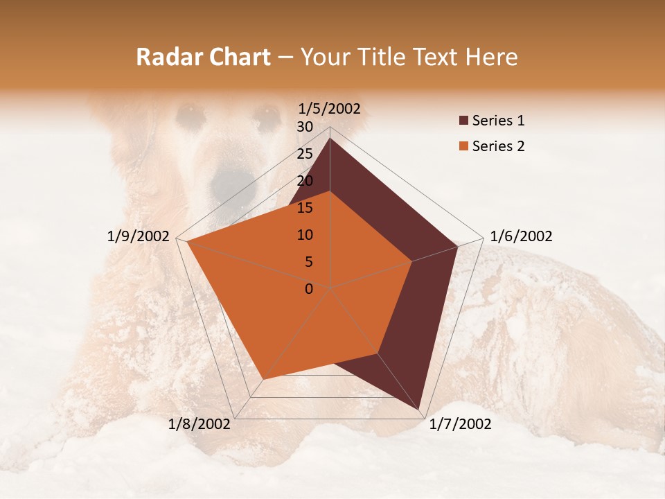 Cold Pet Happy PowerPoint Template