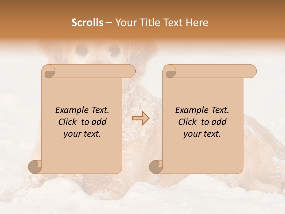 Cold Pet Happy PowerPoint Template