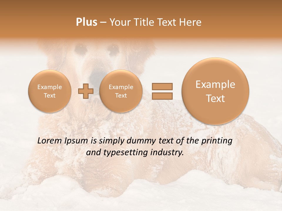 Cold Pet Happy PowerPoint Template