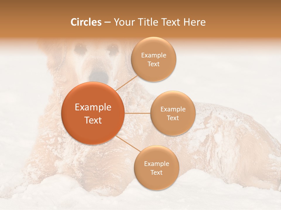 Cold Pet Happy PowerPoint Template