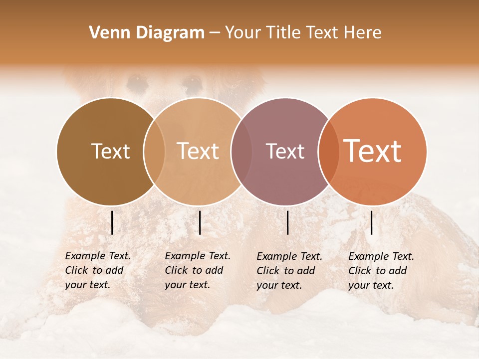 Cold Pet Happy PowerPoint Template